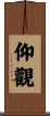 仰觀 Scroll
