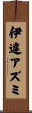 伊達アズミ Scroll