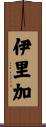 伊里加 Scroll