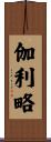 伽利略 Scroll