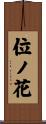位ノ花 Scroll