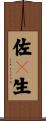 佐々生 Scroll