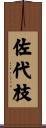 佐代枝 Scroll