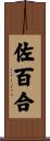佐百合 Scroll