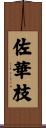 佐華枝 Scroll