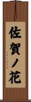 佐賀ノ花 Scroll