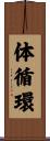 体循環 Scroll