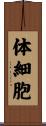 体細胞 Scroll