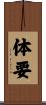 体要 Scroll
