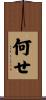 何せ Scroll