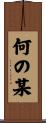何の某 Scroll