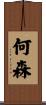 何森 Scroll