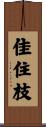 佳住枝 Scroll