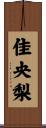 佳央梨 Scroll