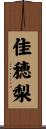 佳穂梨 Scroll