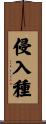 侵入種 Scroll