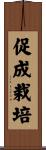 促成栽培 Scroll