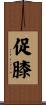 促膝 Scroll