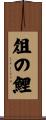 俎の鯉 Scroll