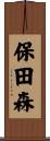 保田森 Scroll