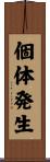 個体発生 Scroll