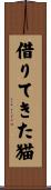 借りてきた猫 Scroll