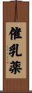 催乳薬 Scroll