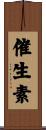 催生素 Scroll