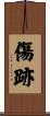 傷跡 Scroll