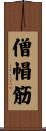 僧帽筋 Scroll