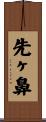 先ヶ鼻 Scroll