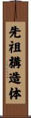 先祖構造体 Scroll