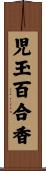 児玉百合香 Scroll
