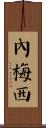 Nemesi Scroll