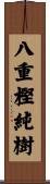 八重樫純樹 Scroll