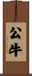 公牛 Scroll