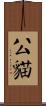 公貓 Scroll