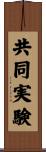 共同実験 Scroll