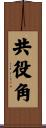 共役角 Scroll