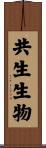 共生生物 Scroll