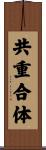 共重合体 Scroll