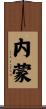 内蒙 Scroll