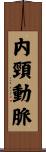 内頸動脈 Scroll