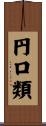 円口類 Scroll