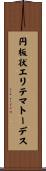 円板状エリテマトーデス Scroll