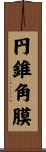 円錐角膜 Scroll