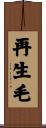 再生毛 Scroll