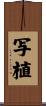 写植 Scroll