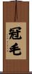 冠毛 Scroll