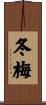 冬梅 Scroll
